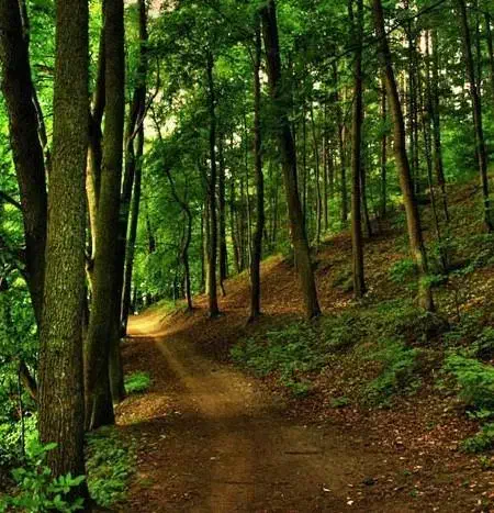 گروه ورزشی وطبیعت گردی مشه سویی|گردهمایی و همایش|اردبیل, |دیوار