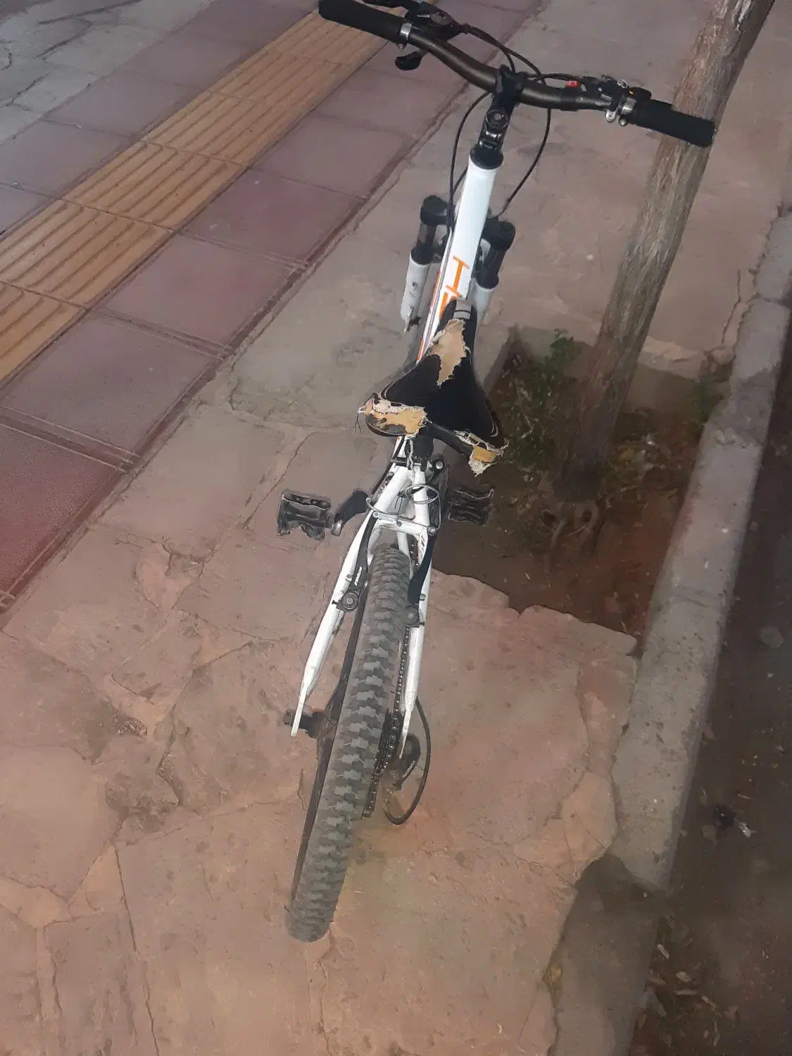 دوچرخه ۲۰ فلش|دوچرخه، اسکیت، اسکوتر|جغتای, |دیوار