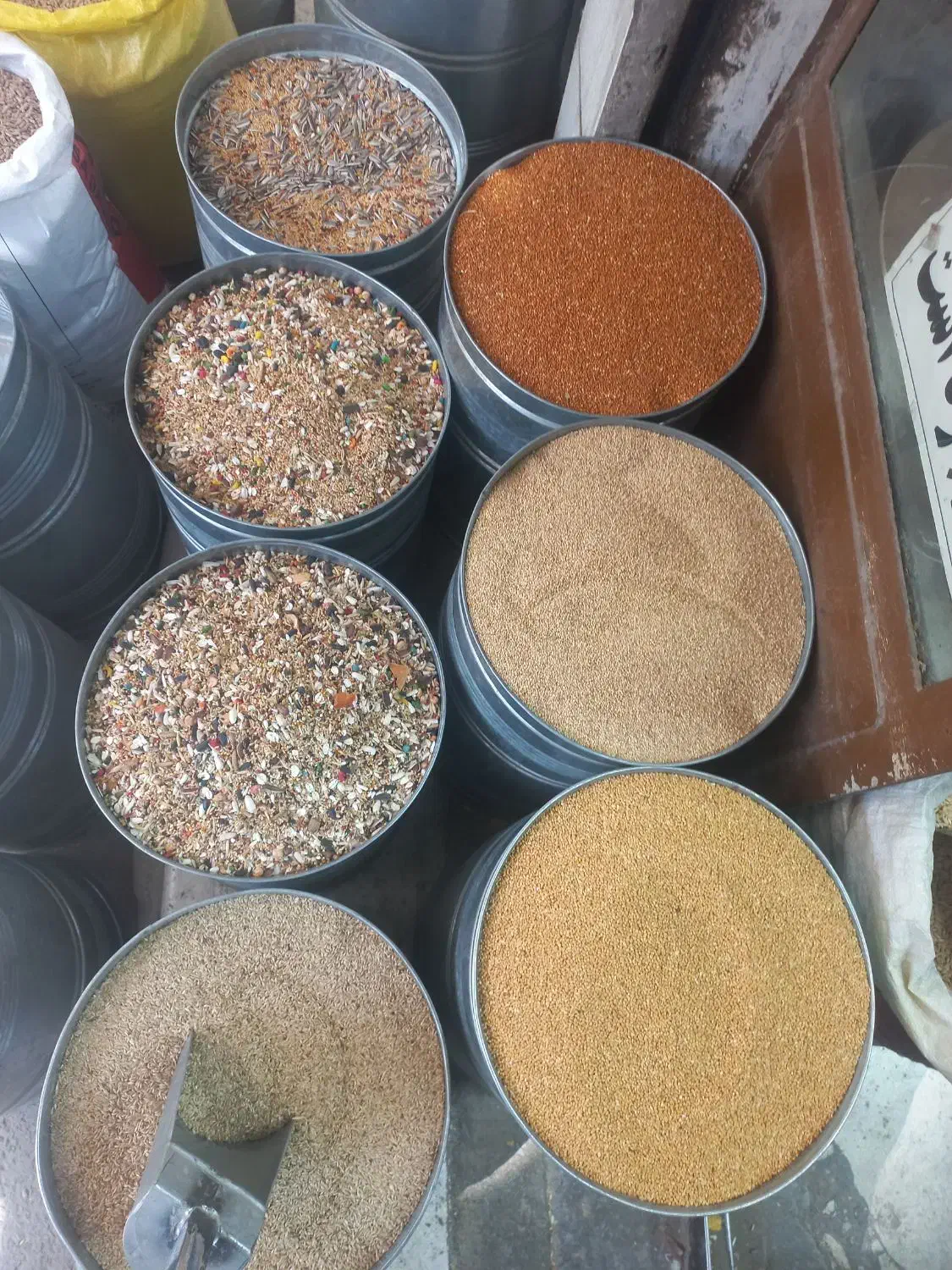 انواع دان ۷تخم کبک کبوتر پرنده و ملزومات|لوازم جانبی حیوانات|سنندج, |دیوار