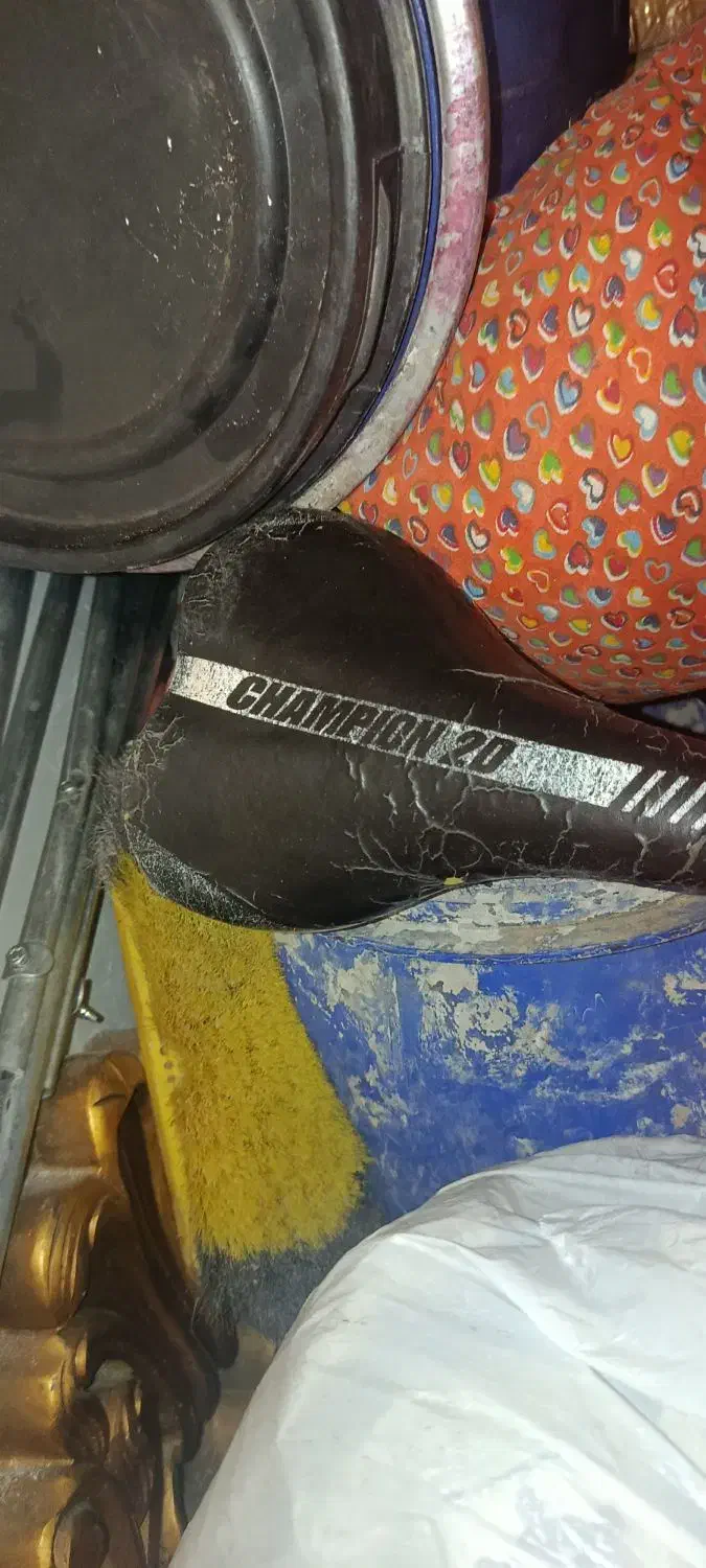 تنه دوچرخه|دوچرخه، اسکیت، اسکوتر|محمدیه-قزوین, |دیوار