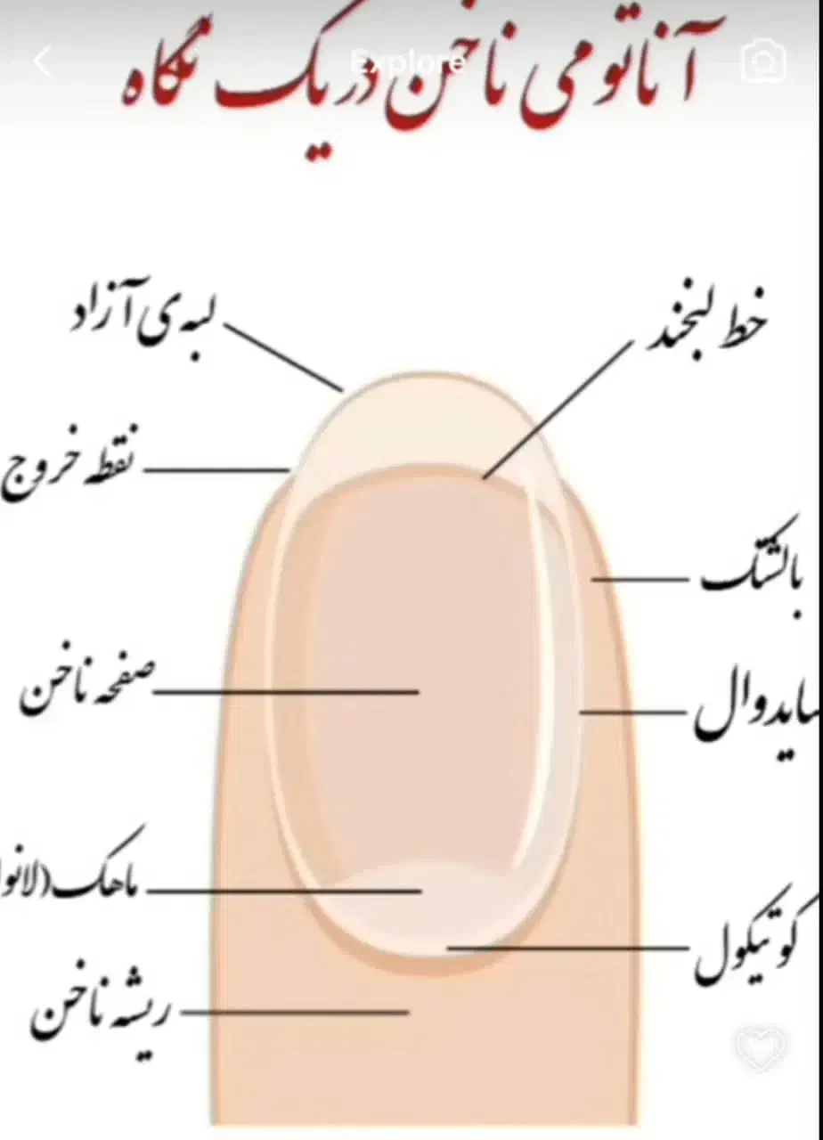 آموزش کاشت ناخن|خدمات آموزشی|امیدیه, |دیوار