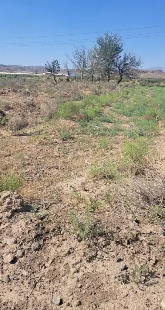 2100مترزمین نبش اتوبان بناب بعداز نیروگاه برق سهند|فروش زمین و ملک کلنگی|بناب, |دیوار