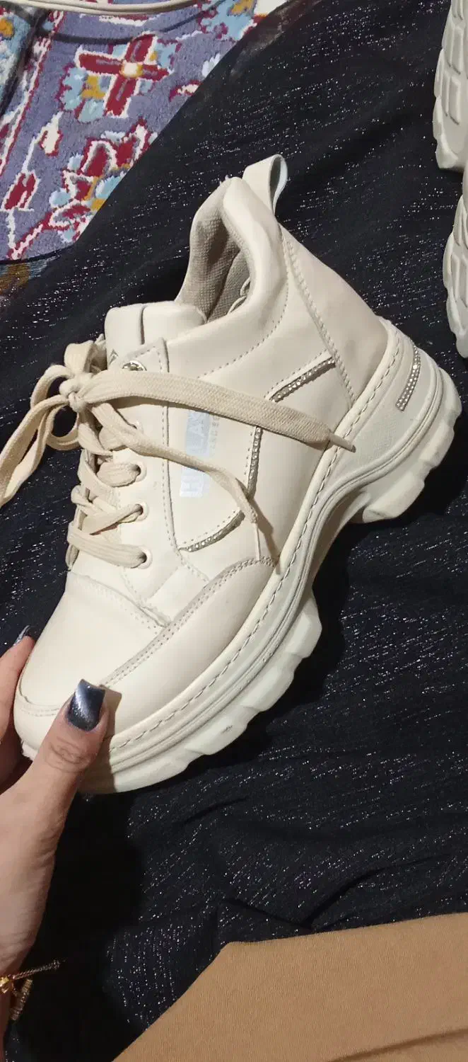 کفش|کیف، کفش، کمربند|زاهدان, |دیوار