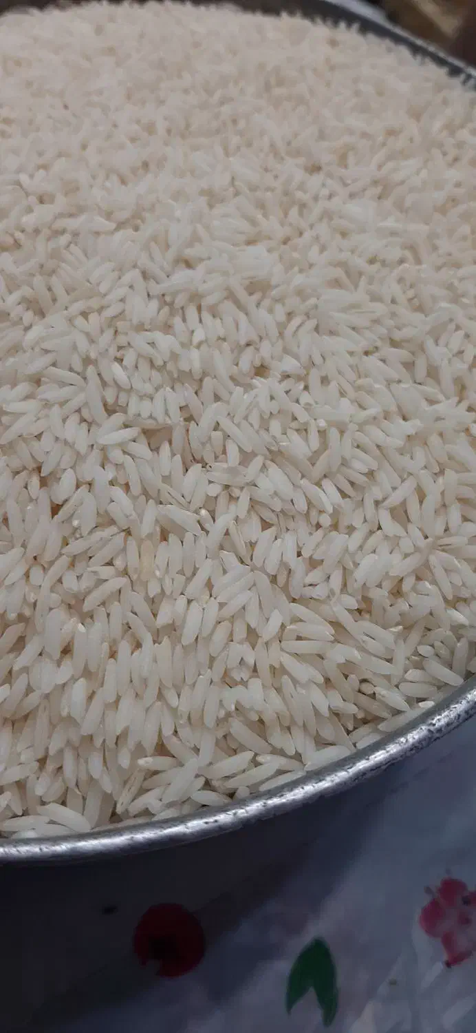 برنج هاشمی|خوردنی و آشامیدنی|رشت, سلیمانداراب|دیوار