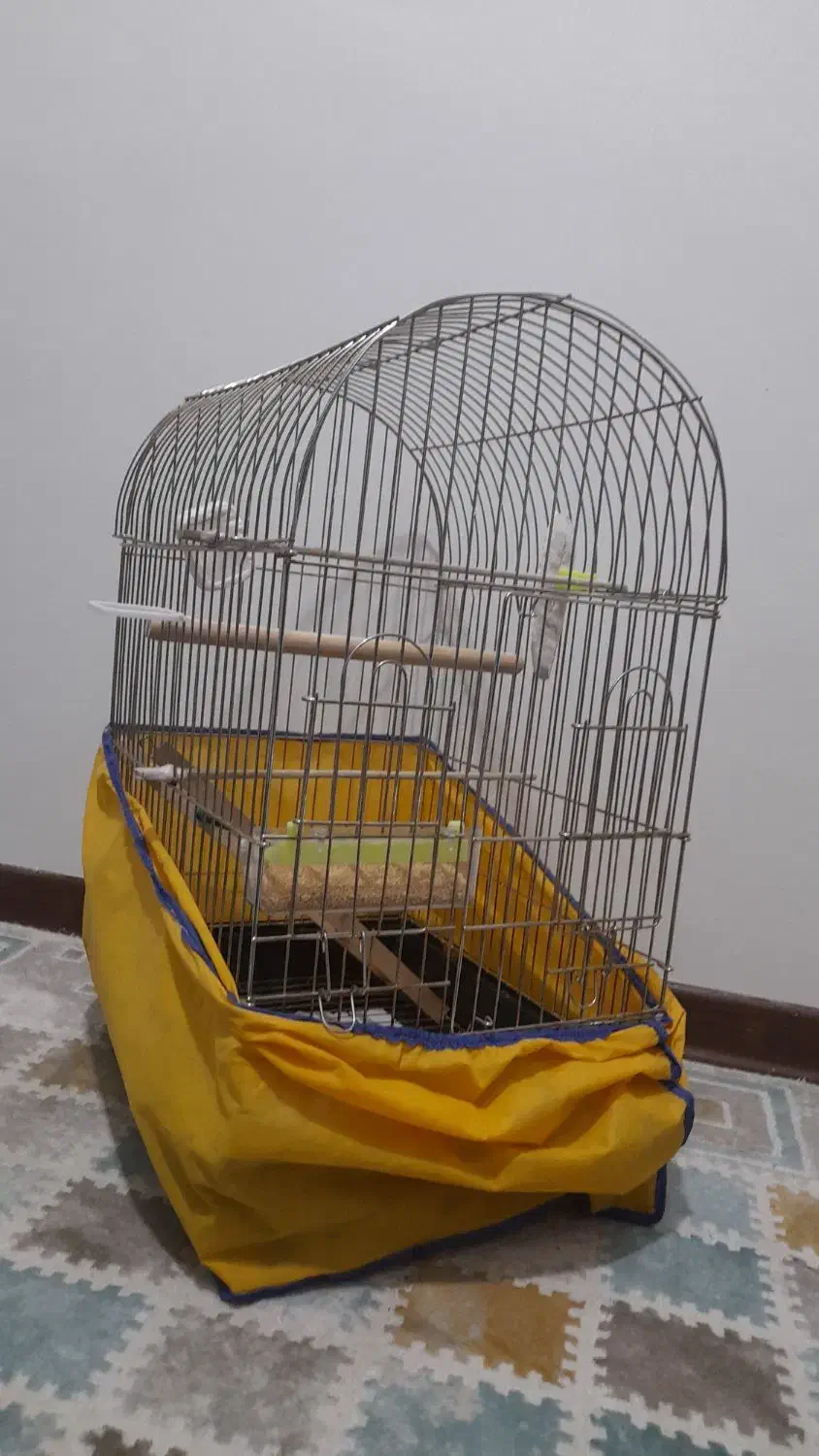 قفس بزرگ|لوازم جانبی حیوانات|پاکدشت, پاکدشت (مامازند)|دیوار