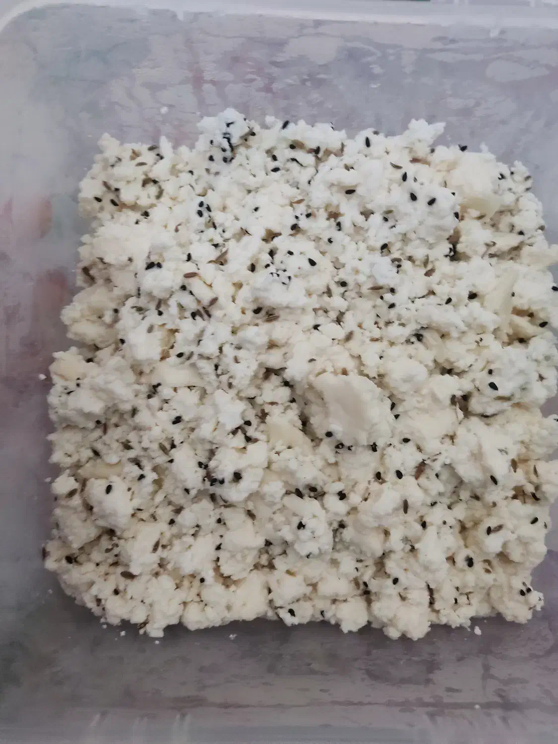 پنیر خانگی|خوردنی و آشامیدنی|مرودشت, بهارستان|دیوار