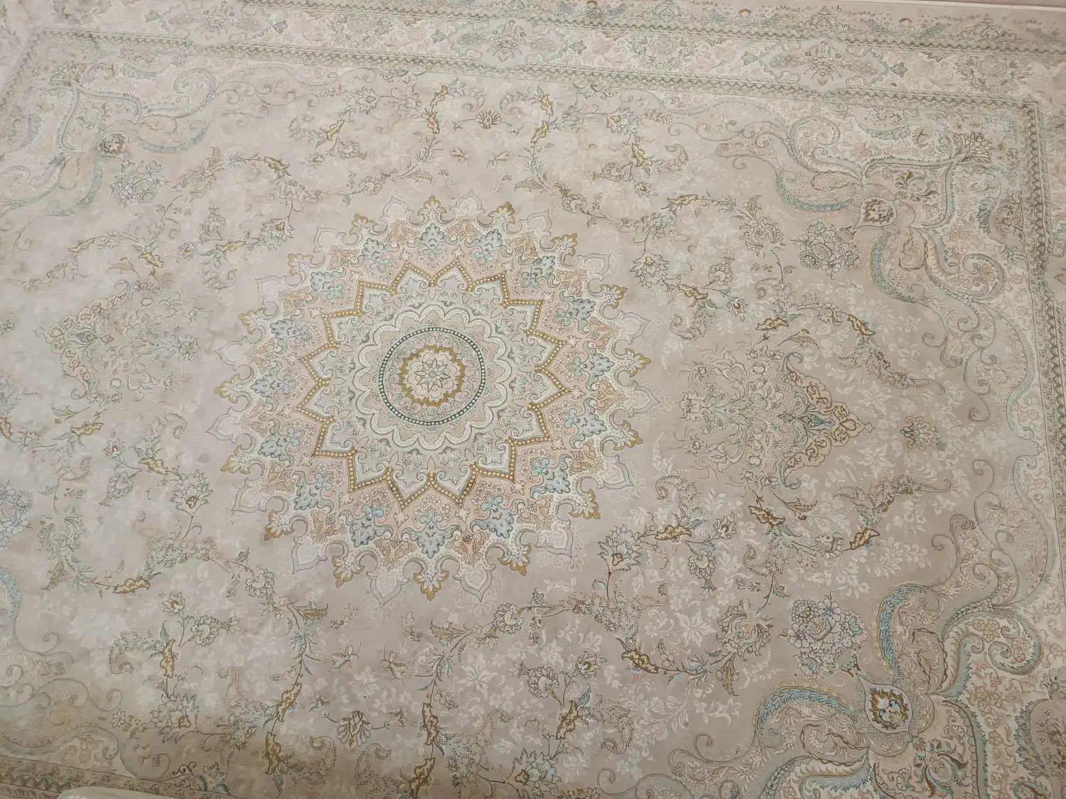 فرش ماشینی|فرش|تربت‌حیدریه, قائم|دیوار