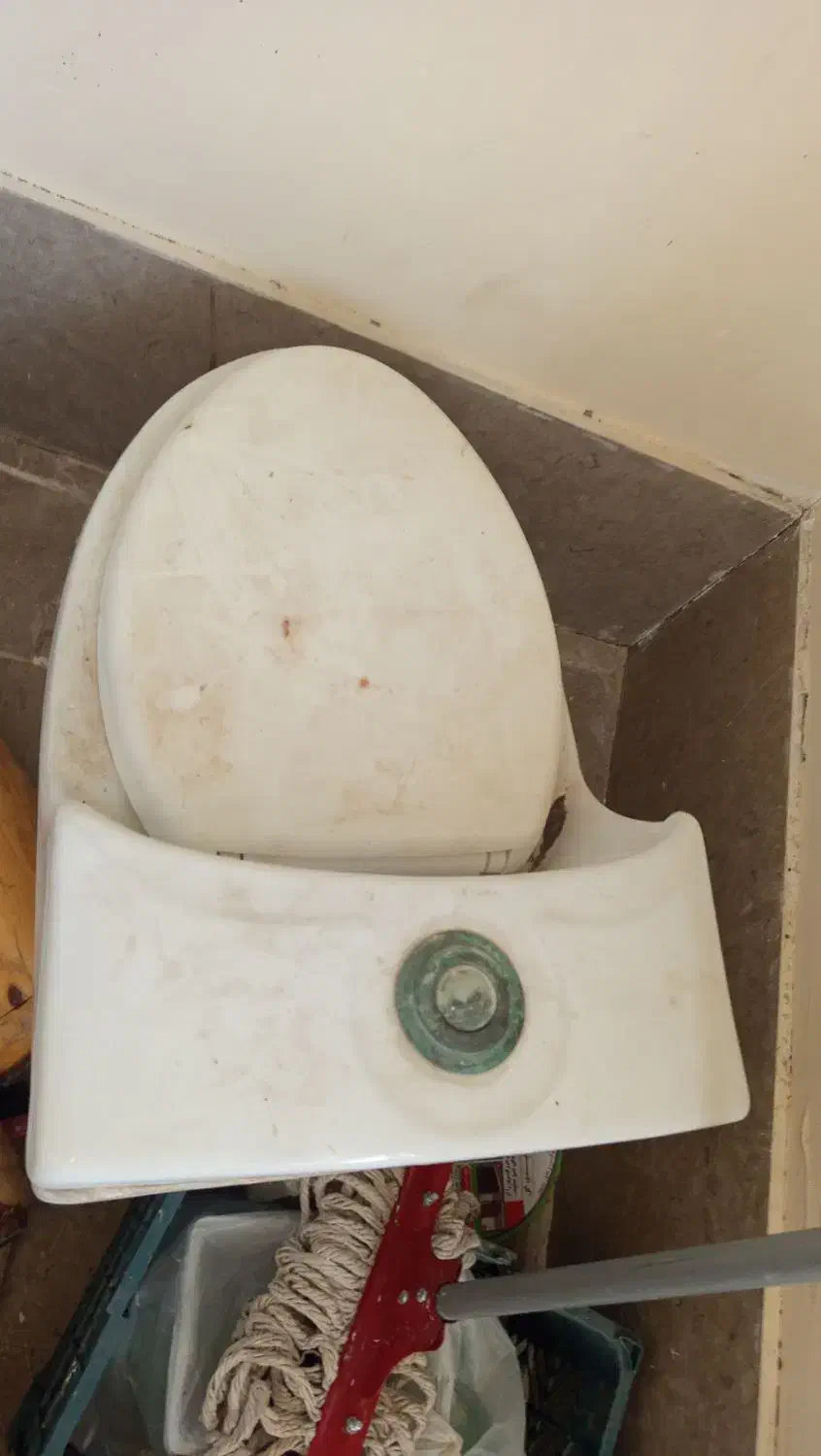 توالت فرنگی|لوازم سرویس بهداشتی|شیراز, تندگویان|دیوار