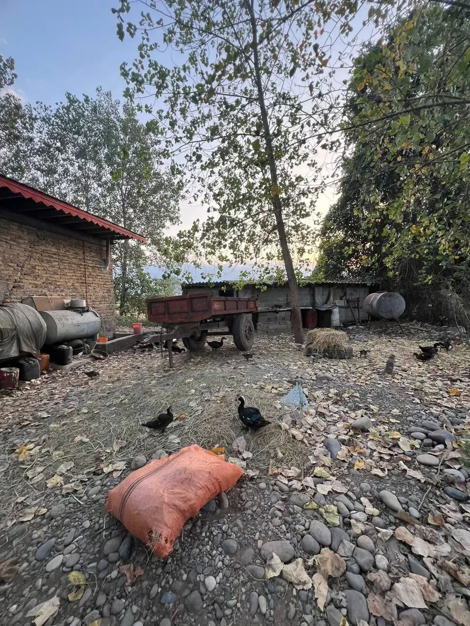 ویلای دنج و دلباز/۷۰۰ متری /لولمان|فروش خانه و ویلا|لولمان, |دیوار