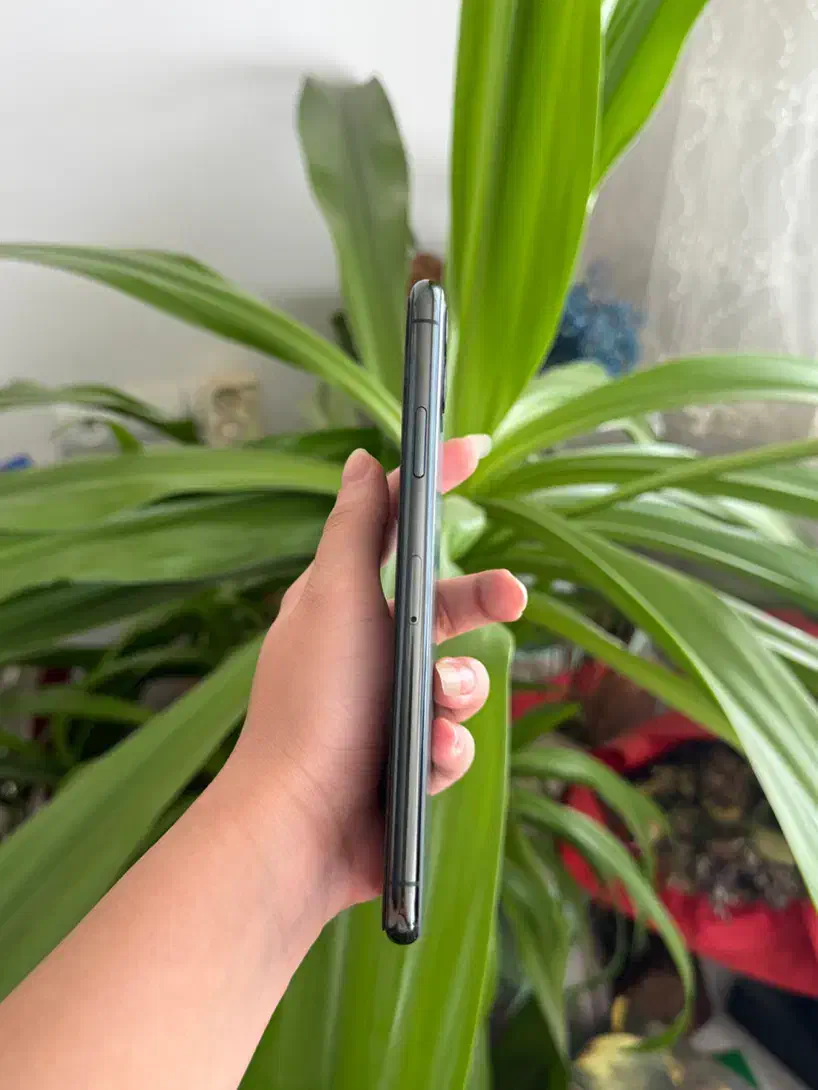 ا‌پل11pro maxبا حافظه 256 گیگابایت|موبایل|قزوین, |دیوار