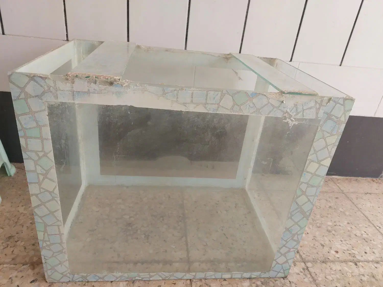 شیشه|ماهی|بهبهان, |دیوار