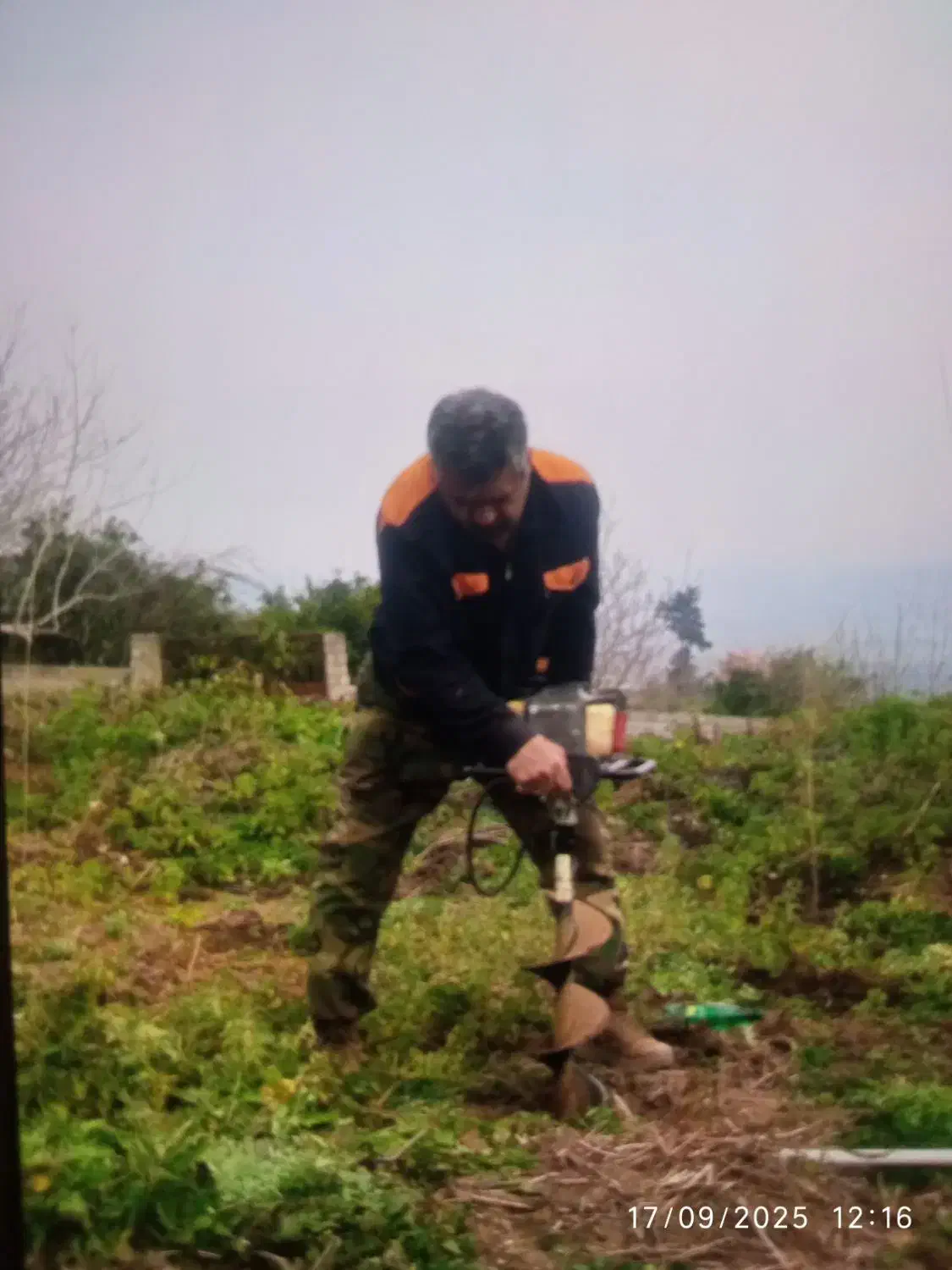 علفتراشی انواع علف و لم ،وجینگر زمین|خدمات باغبانی و درختکاری|قائم‌شهر, |دیوار