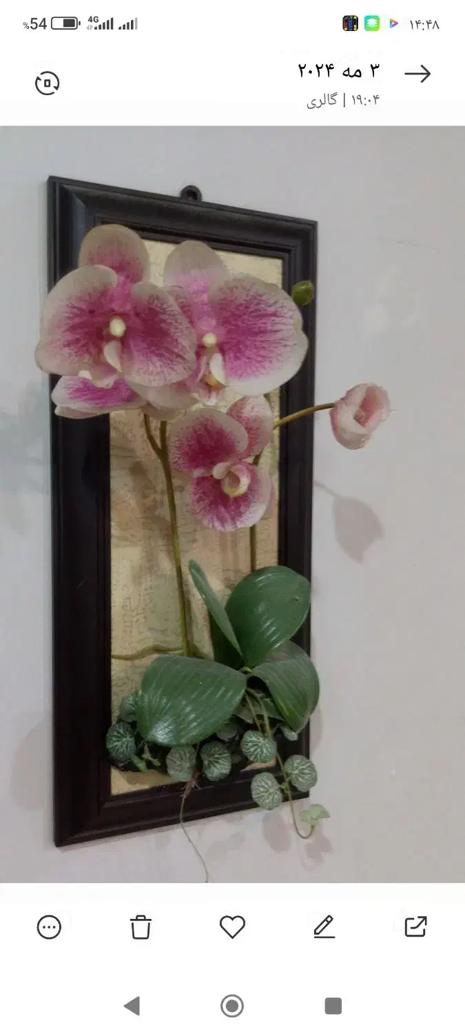 همه چوبی|حراج|اهواز, گلستان|دیوار