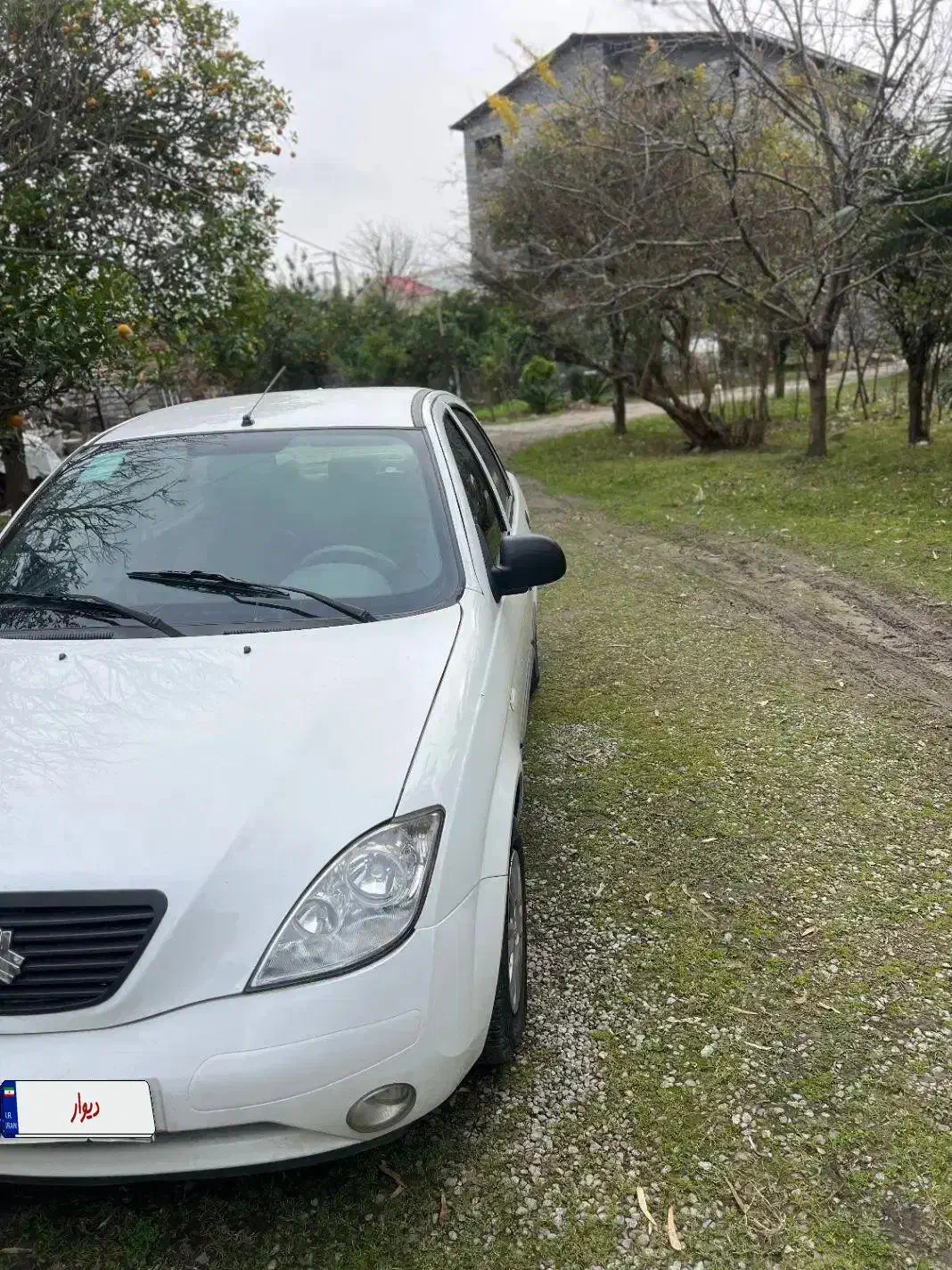 تیبا|خودرو سواری و وانت|نور, |دیوار