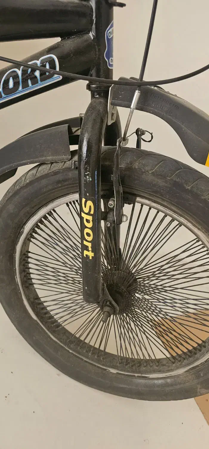 دوچرخه لاستیک پهن|دوچرخه، اسکیت، اسکوتر|بندرعباس, |دیوار