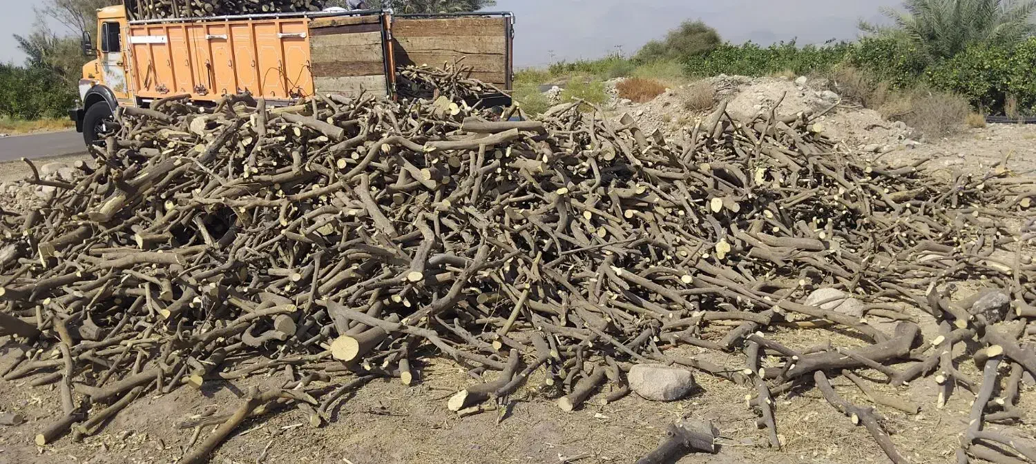 چوب|خدمات باغبانی و درختکاری|جیرفت, |دیوار