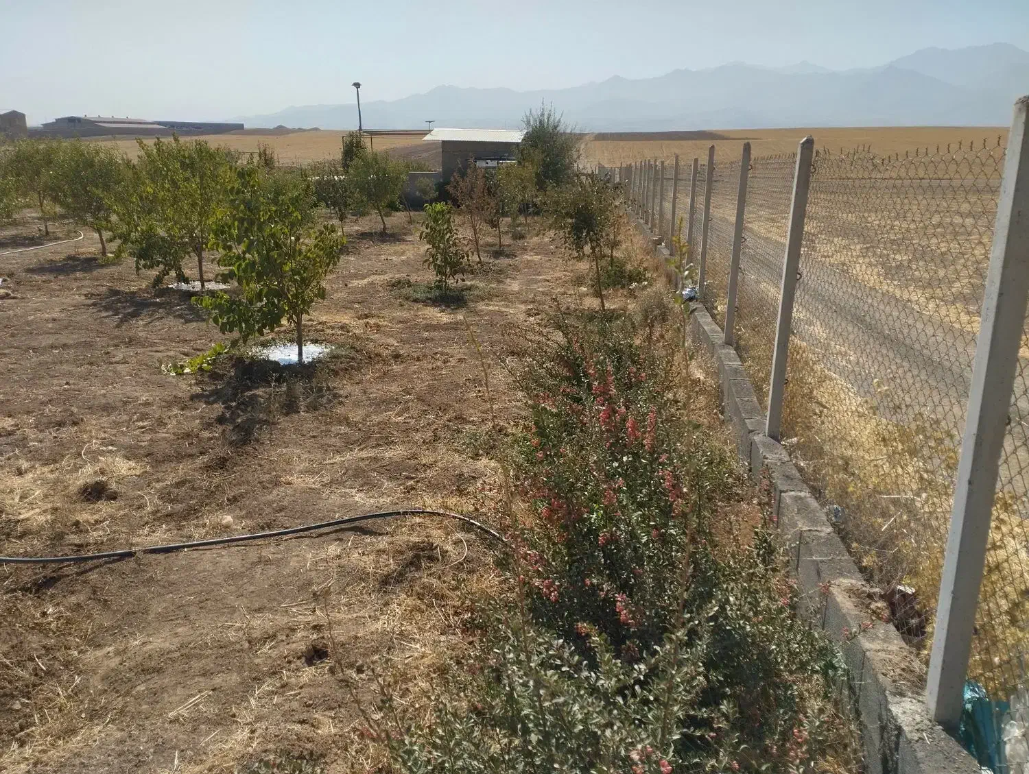 فروش باغ|فروش خانه و ویلا|صالح آباد, |دیوار