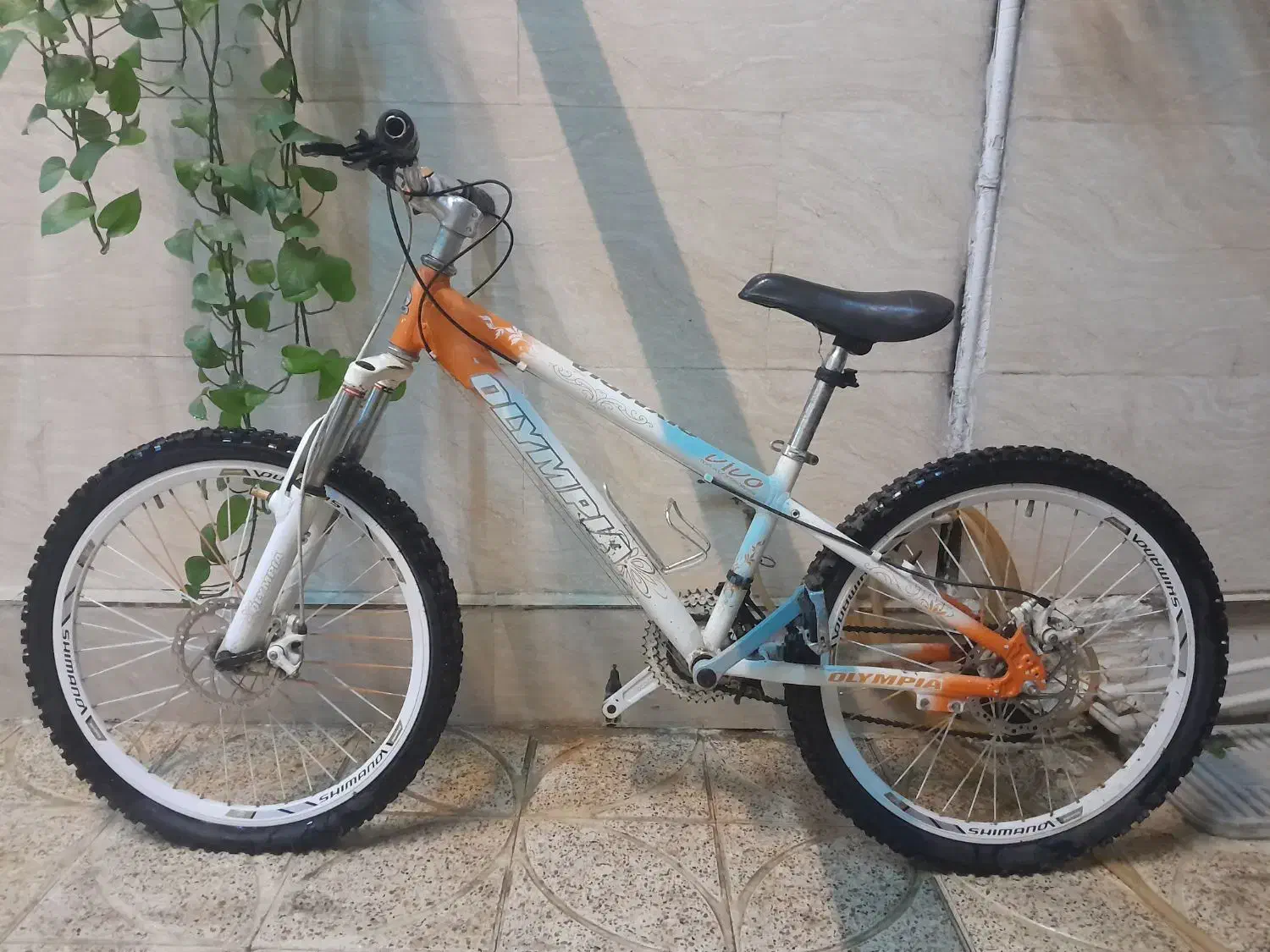 دوچرخه المپیا ۲۴|دوچرخه، اسکیت، اسکوتر|پاکدشت, پاکدشت (مامازند)|دیوار