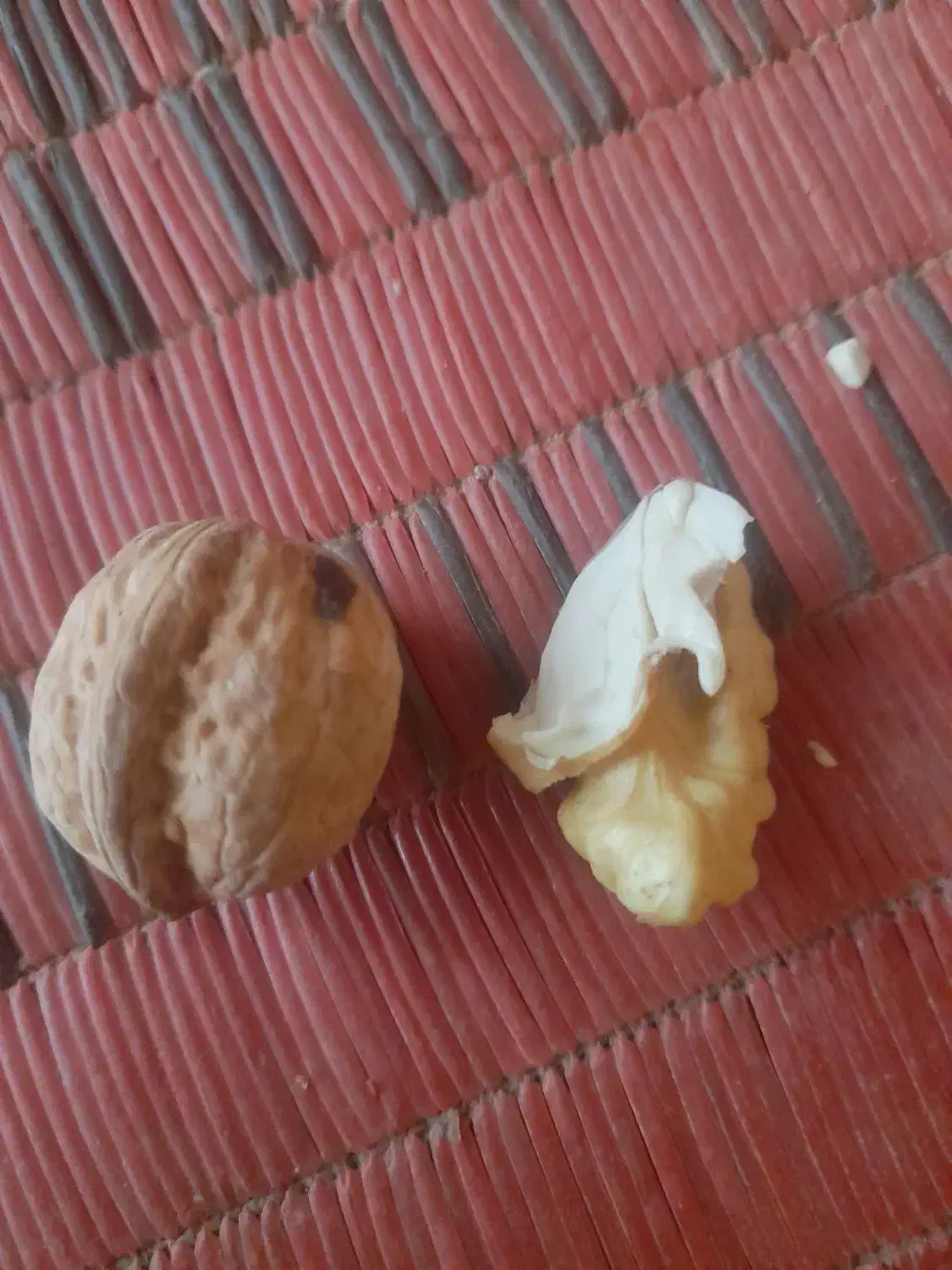 گردوی درجه یک هر پره ش اندازه یک گردوی معمولیه|عمده‌فروشی|بیلوار, |دیوار