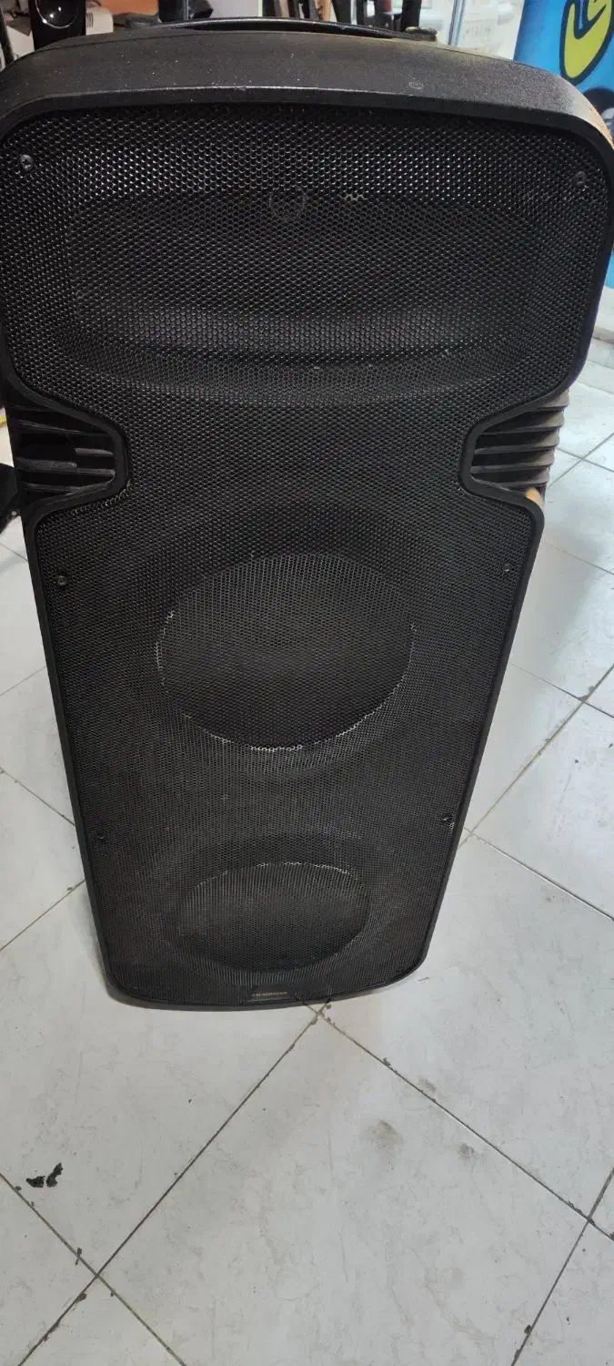 باند دبل یخچالی چرمن اکتیو  ۱۵اینچ|سیستم صوتی خانگی|رباط‌کریم, رباط‌کریم|دیوار