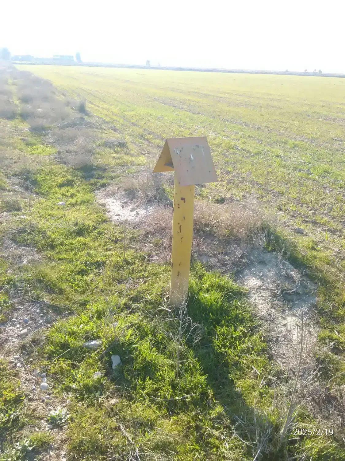 زمین کشاورزی ده هکتار مالبازار گنبد|اجارهٔ دفتر صنعتی، کشاورزی، تجاری|گنبد کاووس, |دیوار