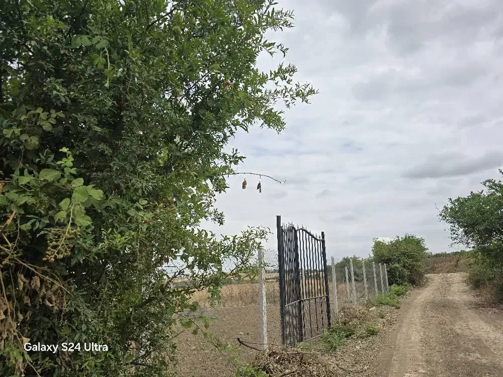 340مترزمین باغی در روستای سعدآبادگرگان|فروش زمین و ملک کلنگی|گرگان, |دیوار