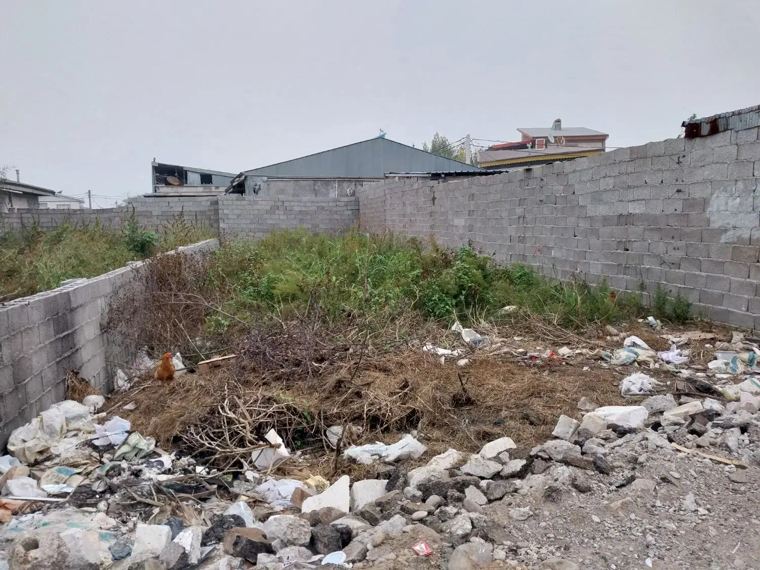 زمین فاز دو گلسار|فروش زمین و ملک کلنگی|رشت, کوی یخ|دیوار