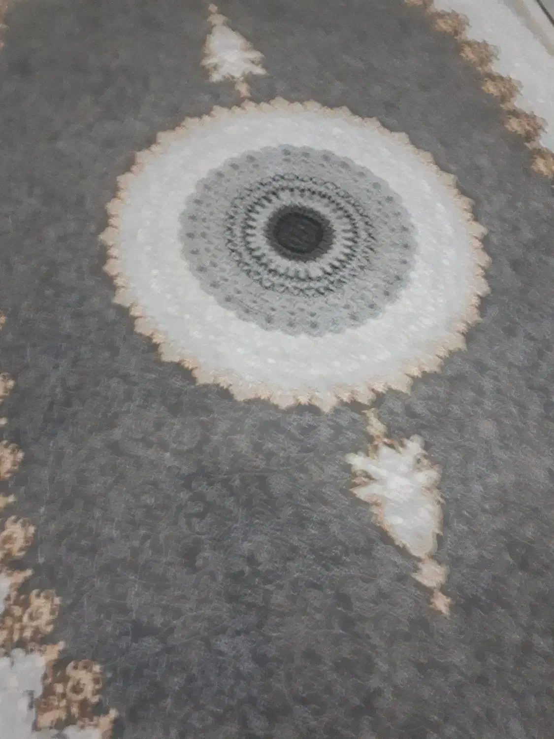 فرش ۷۰۰ شانه|فرش|زاهدان, |دیوار