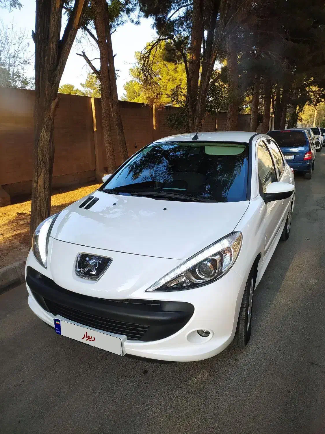 207 مدل 1401 فول فرمان برقی|خودرو سواری و وانت|کرمان, |دیوار