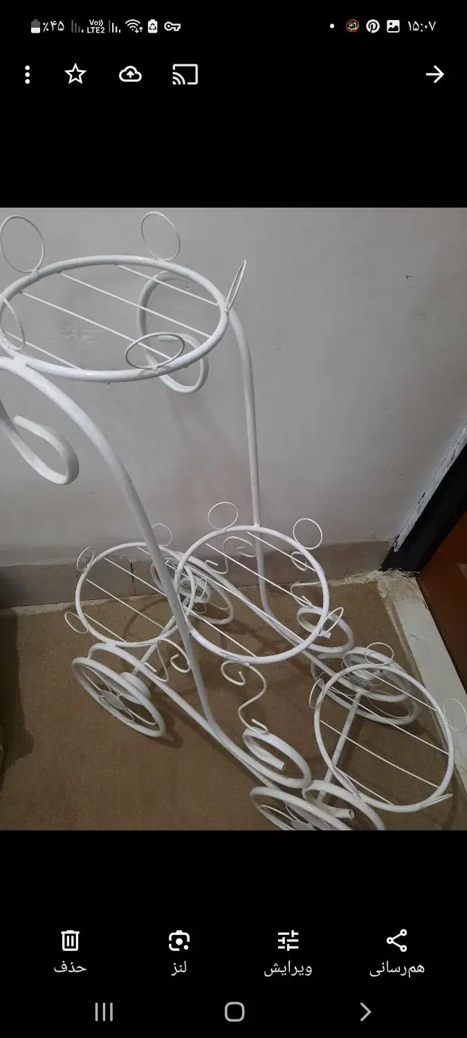 جاگلدونی کالسکه|گل و گیاه طبیعی|پاکدشت, پاکدشت (مامازند)|دیوار