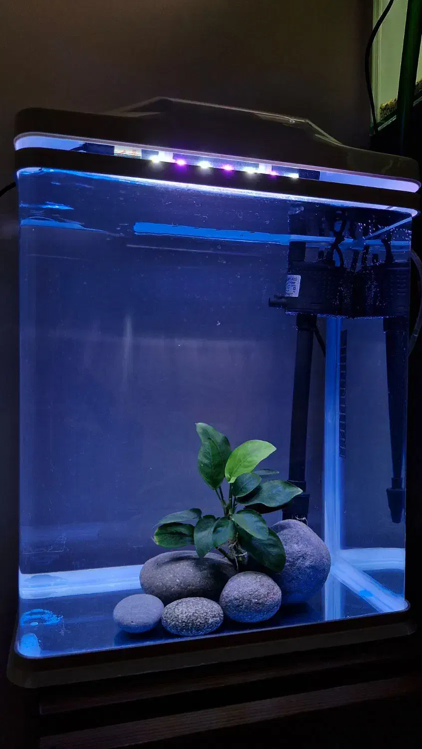 آکواریوم آماده|ماهی|ری, دولتآباد|دیوار