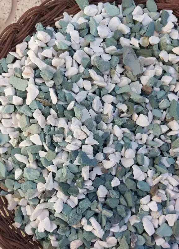 اکواریوم شرکتی|ماهی|تربت‌حیدریه, حسنی بالا|دیوار