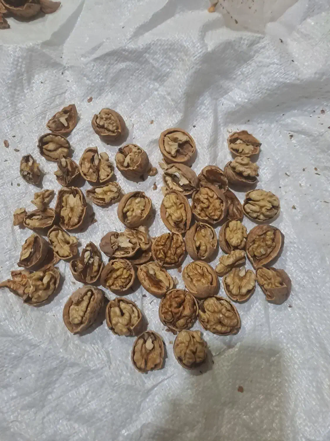 مغز گردو ایرانی|عمدهفروشی|کاشان, پشت شهربانی|دیوار