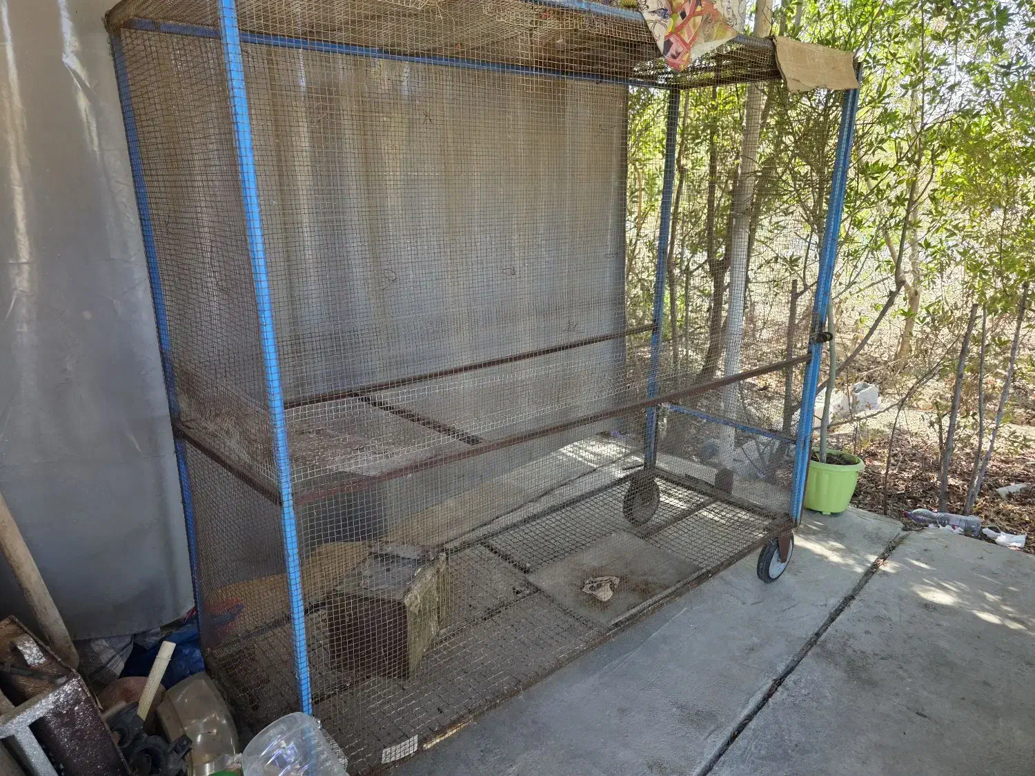 قفس چرخ دار|لوازم جانبی حیوانات|بوشهر, |دیوار