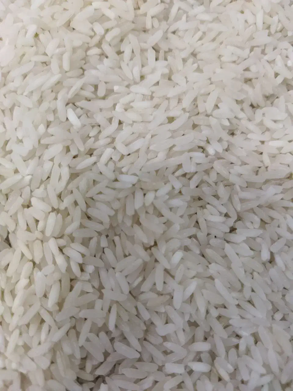 برنج امریکایی و تایلندی|خوردنی و آشامیدنی|ایلام, |دیوار