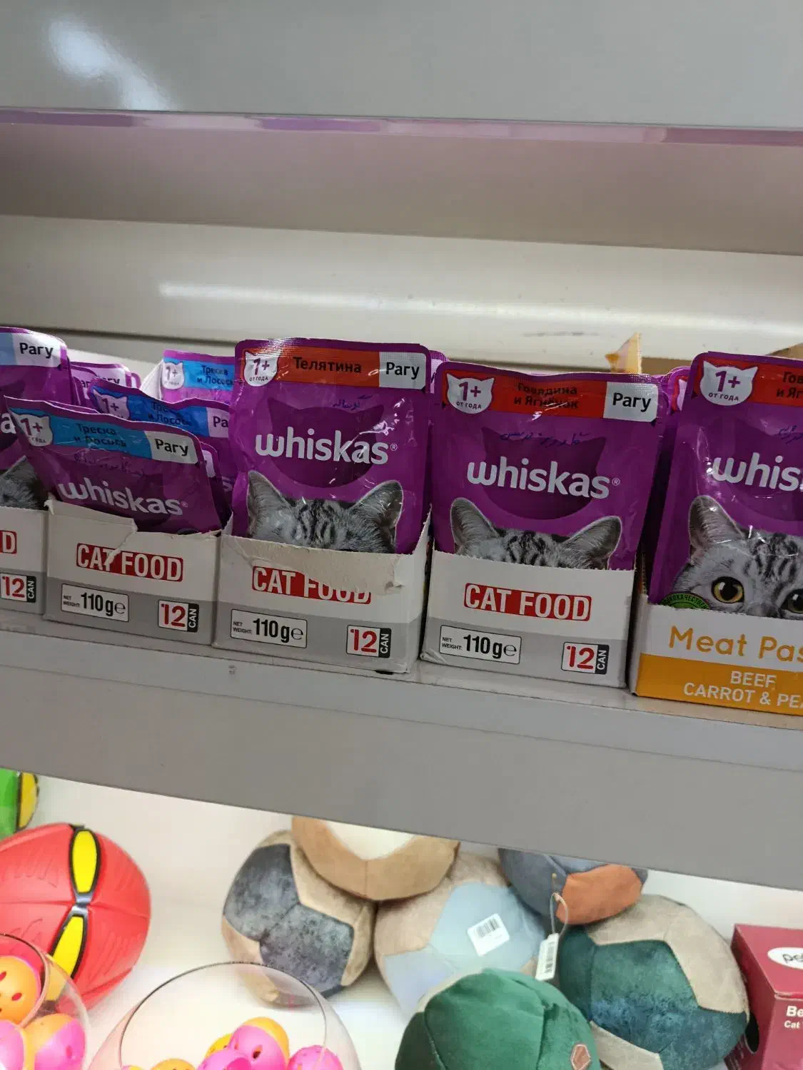 غذای حیوانات|لوازم جانبی حیوانات|چهاردانگه (تهران), |دیوار