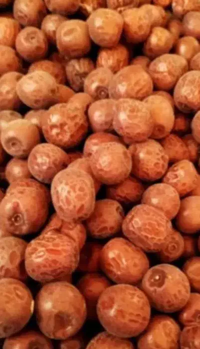 عناب تازه امسال|خوردنی و آشامیدنی|ایذه, |دیوار