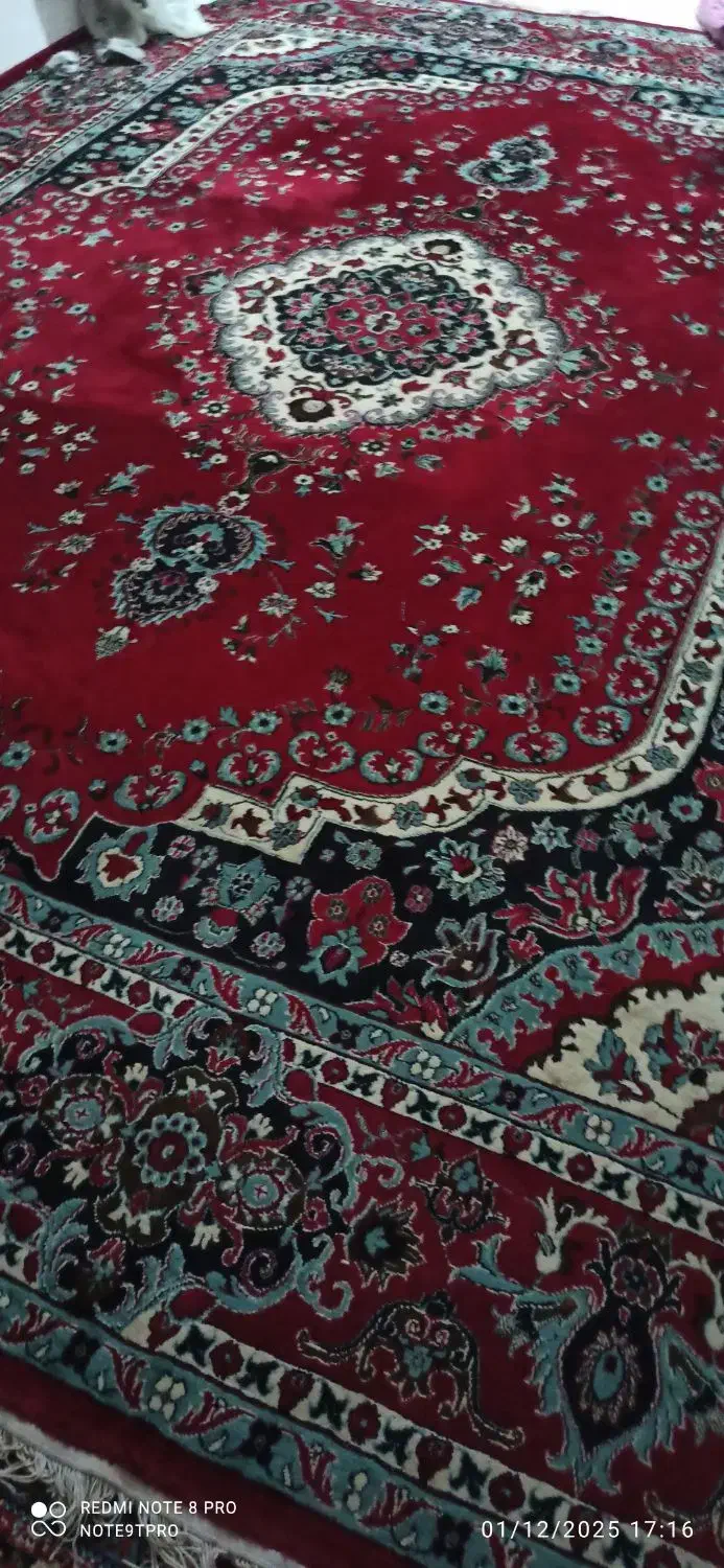 سه عدد فرش|فرش|کبودرآهنگ, |دیوار