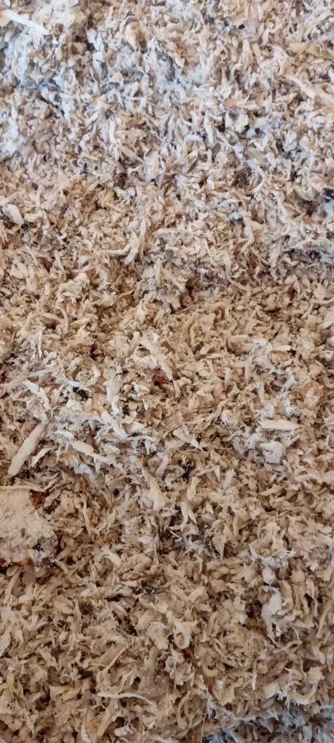 تفاله چقندر|حیوانات مزرعه|خنداب, |دیوار