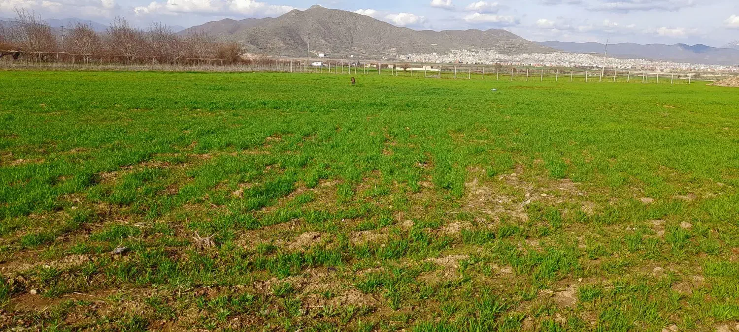 زمین برای خانەباغی|فروش زمین و ملک کلنگی|مریوان, |دیوار