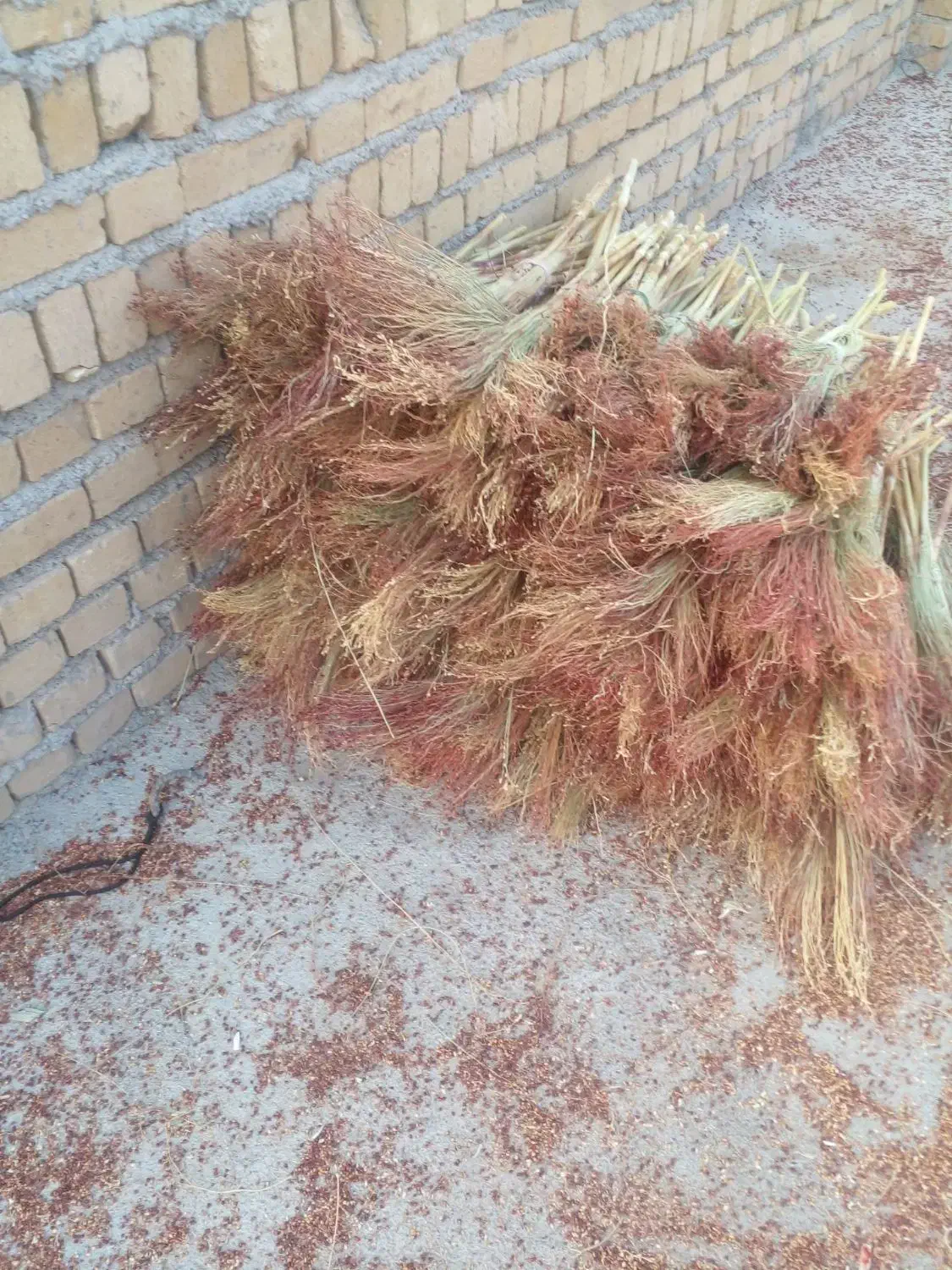 جارو دستی در الشتر|لوازم نظافت|فیروزآباد (لرستان), |دیوار