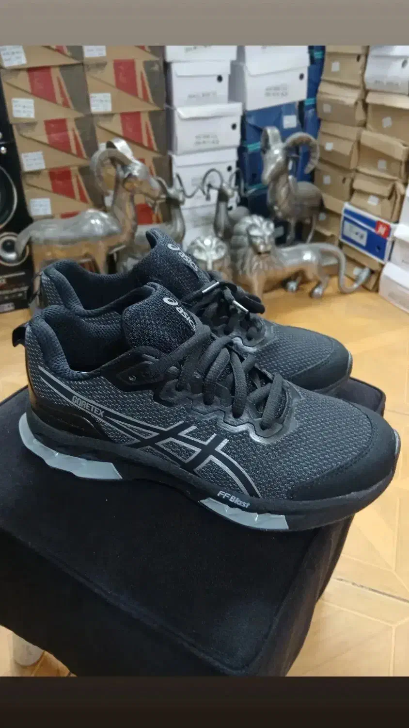 حراج انواع کتونی|حراج|تهران, افسریه جنوبی|دیوار