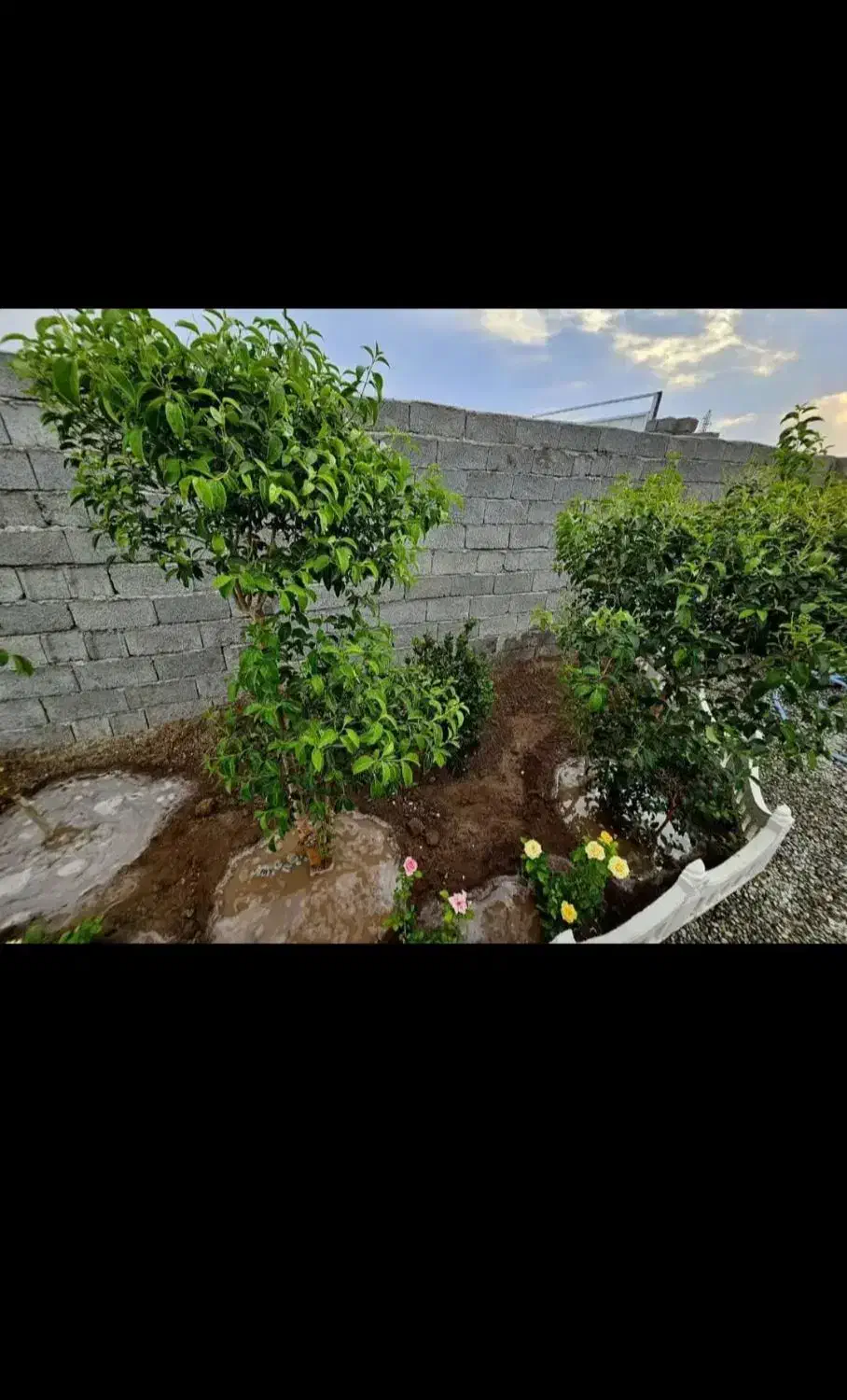 مزایده خونه باغ ویلایی مازندران|فروش خانه و ویلا|نکا, |دیوار