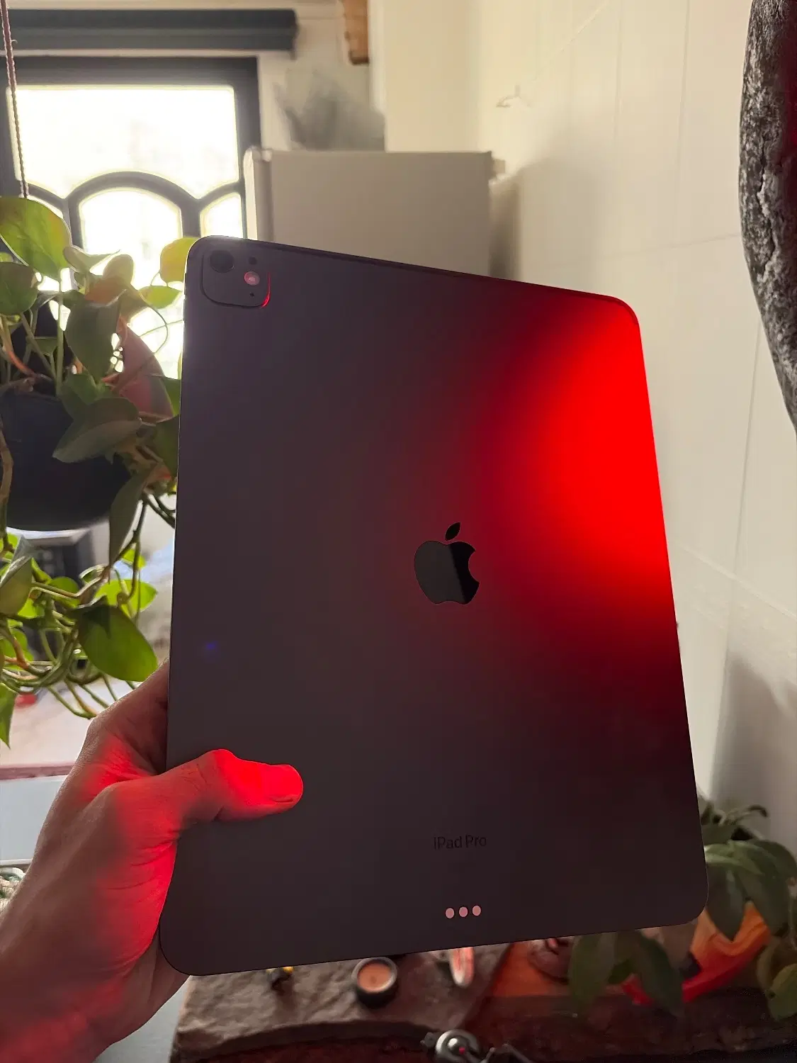 Ipad pro m4 2025 13|تبلت|تهران, درختی|دیوار