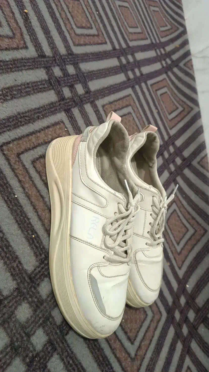 کفش نیم بوت زنانه|کیف، کفش، کمربند|زابل, |دیوار