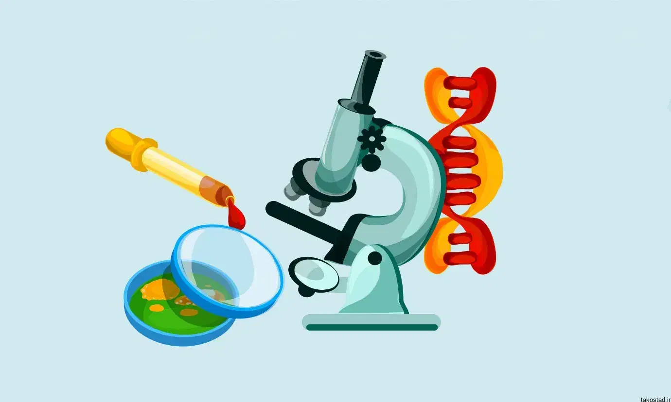 تدریس و مشاور|خدمات آموزشی|کاشان, جمال آباد|دیوار