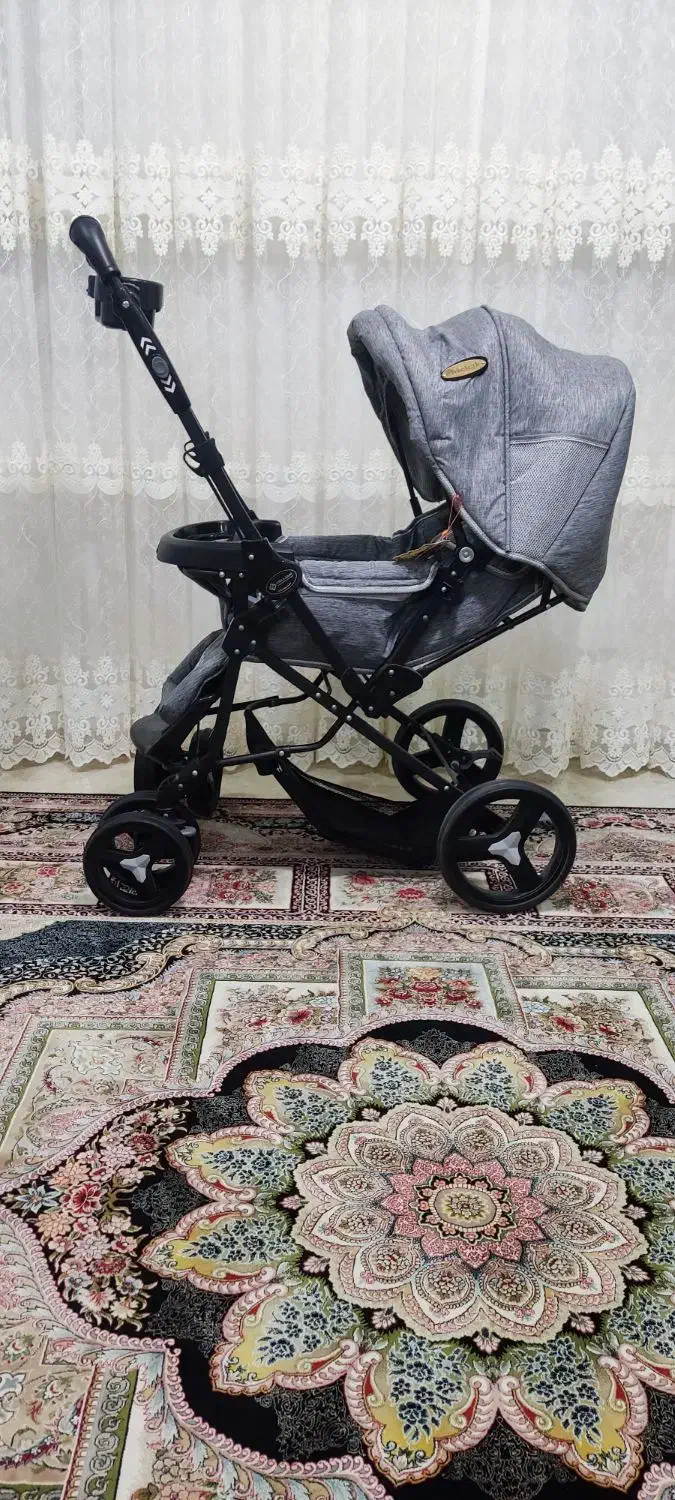 کالسکه دلیجان|کالسکه و لوازم جانبی|رودسر, |دیوار