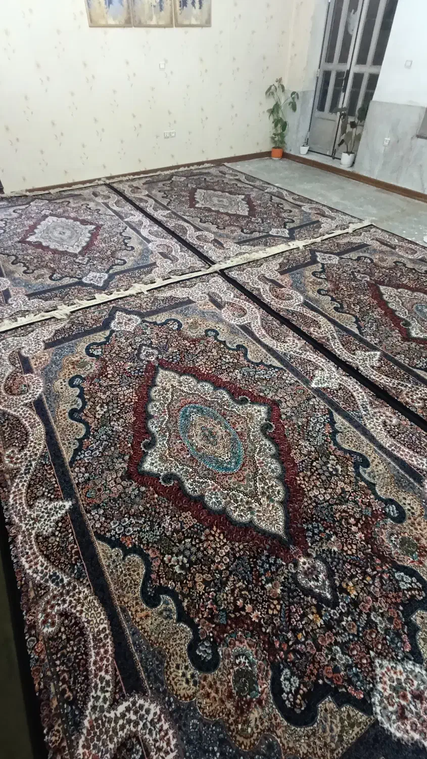 ۴تخته فرش ۶متری ۷۰۰ شانه|فرش|کرمانشاه, |دیوار