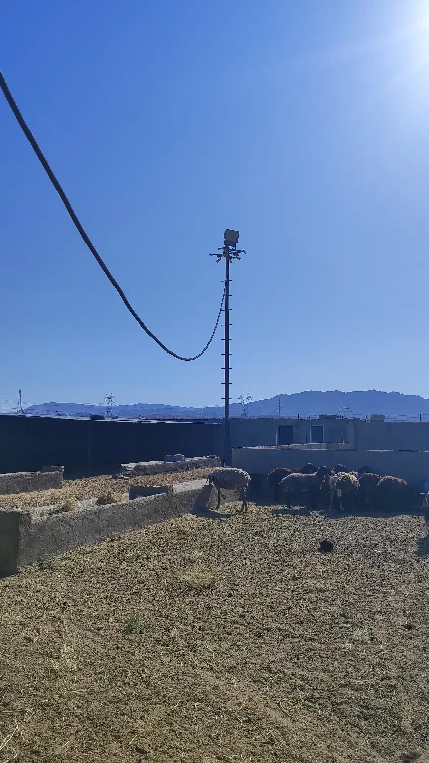 معاوضه مزرعه هفت هکتاری با واحد مسکونی|فروش دفتر صنعتی، کشاورزی، تجاری|فیروزکوه, |دیوار