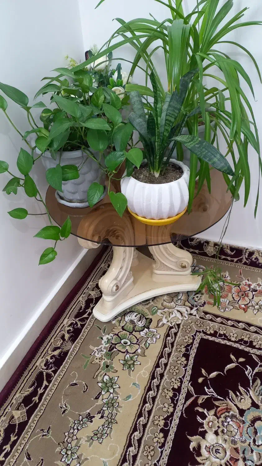 میز عسلی|مبلمان خانگی و میز عسلی|بروجرد, |دیوار